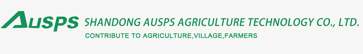 Family Business Period, vegetable and fruits-SHANDONG AUSPS AGRICULTURE TECHNOLOGY CO., LTD.